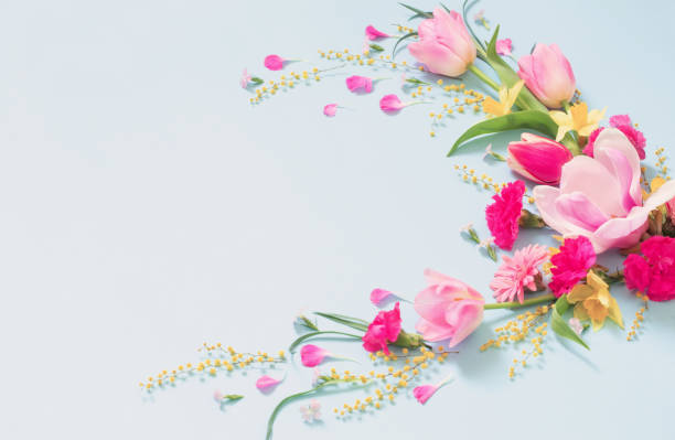 istock beautiful spring flowers on blue background 1489567518
