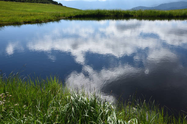 230+ Hiuchi Stock Photos, Pictures & RoyaltyFree Images iStock