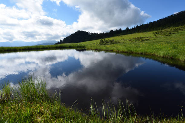 150+ Hiuchi Stock Photos, Pictures & RoyaltyFree Images iStock