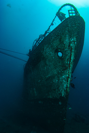 The Kubu Shipwreck Bali is a popular diving spot located off the eastern coast of Bali, Indonesia. Today, the shipwreck serves as an artificial reef, providing a habitat for a diverse array of marine life, including colorful reef fish, moray eels, nudibranchs, and even the occasional shark or turtle. The shipwreck is a fascinating site to explore for both novice and experienced divers, with its deteriorating hull, debris, and artifacts giving a glimpse into the past.