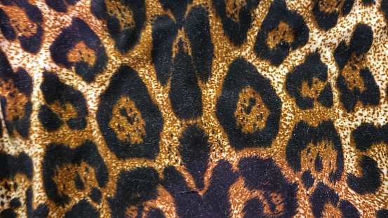 Seamless Leopard fabric. Animal skin. Textile