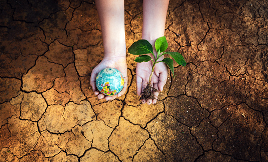Earth Day or World Environment Day concept, tree and globe in human hand on cracked earth arid, and dehydrated. Saving the Environment and Global warming