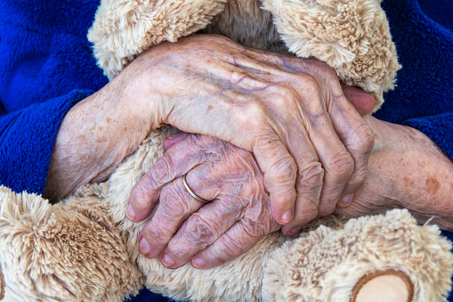 Closeup of old woman's hands holding a Teddy Bear. FUll bear is not seen. Woman's face is not seen.