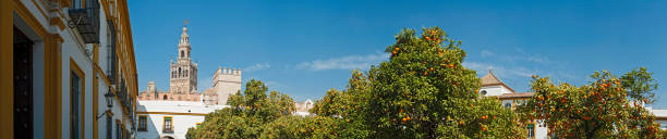 siviglia la giralda arancio panorama - national landmark architectural styles sevilla seville foto e immagini stock