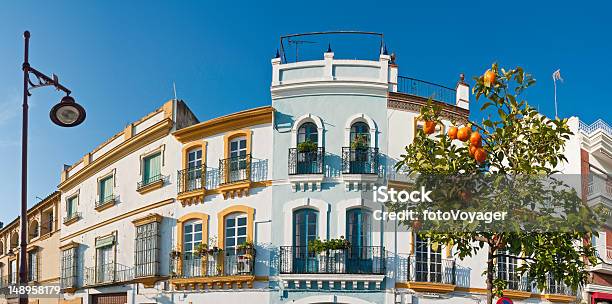 Oranges And Villas Seville Spain Stock Photo - Download Image Now - Seville, Bush, Leaf