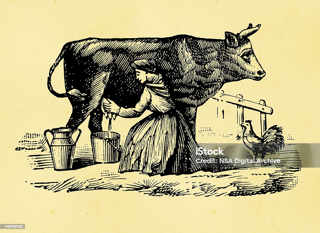 Traire de vache - Illustration de Ferme - Aménagement de l'espace libre de droits