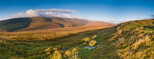 selvagem e windswept golden de grasslands - extreme terrain footpath british culture green imagens e fotografias de stock