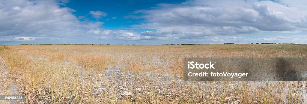 Grande paludi NP Florida Everglades - Foto stock royalty-free di Parco Nazionale delle Everglades