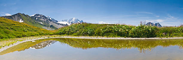 alpejskie łąki góry odzwierciedlenie - wilderness area flower pond clear sky zdjęcia i obrazy z banku zdjęć