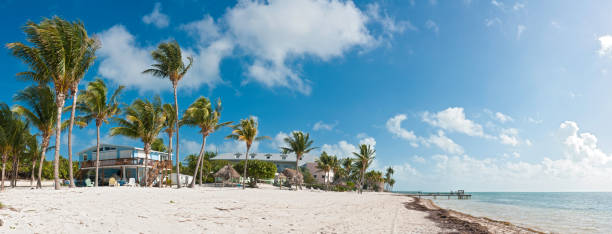 istock Tropical beach home palm panorama 148958473