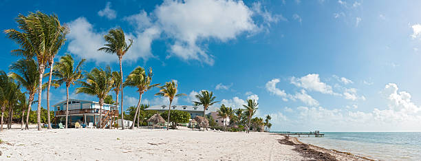 panorama tropikalnej plaży palma domu - beach house zdjęcia i obrazy z banku zdjęć
