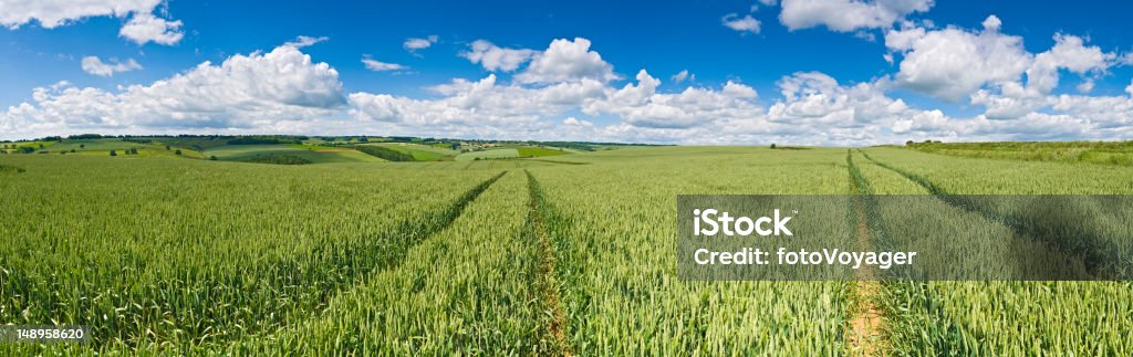 Verdant culturas big sky panorama Campo - Royalty-free Agricultura Foto de stock