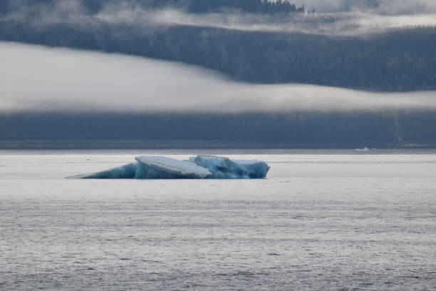 istock Iceberg on the loose 1489587086