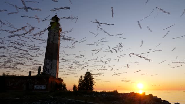 Many seagulls circle over old lighthouse at sunset, picture is like in nightmare