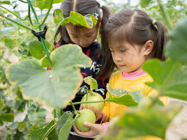 istock Children experience the fun of planting crops 1489594591