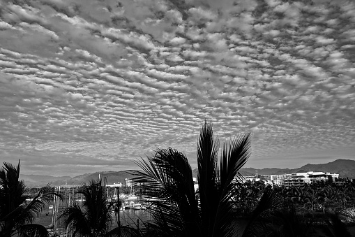 Black and white view of tropical harbor with rippled clouds and palm trees.