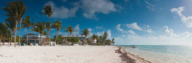 istock Idyllic beach palms ocean Florida 148959851