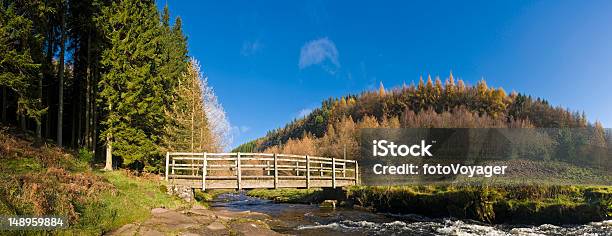 Brücke Mountain Stream Stockfoto und mehr Bilder von Kiefer - Kiefer, Wales, Anhöhe