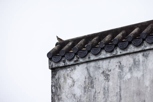 samotny ptak na dwuspadowym dachu - c._k. zdjęcia i obrazy z banku zdjęć