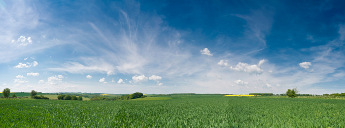 Vast blue sky with white whisps of cirrus cloud over a rural horizon of fresh green crops, rolling hills and patchwork landscape. ProPhoto RGB profile for maximum color fidelity and gamut.