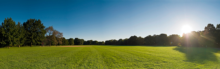 Sunlight bursting over the baseball diamonds and tree lined avenues of The Great Lawn in Central Park, Manhattan under a deep clear blue sky. ProPhoto RGB profile for maximum color fidelity and gamut.