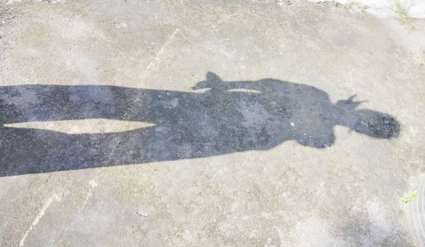 istock shadow of a girl 1489609016