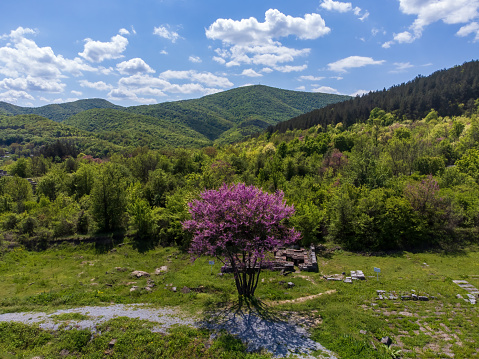 Green meadows, hills and snowcapped mountains in background. Taken near village of Benonces at Col de Portes in Bugey mountains, in Ain, Auvergne-Rhone-Alpes region in France European Alps during a sunny spring day.