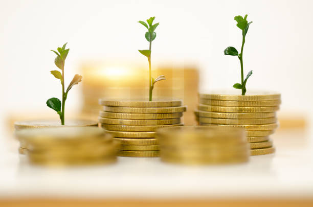 istock Group of coin in saving money. 1489612593
