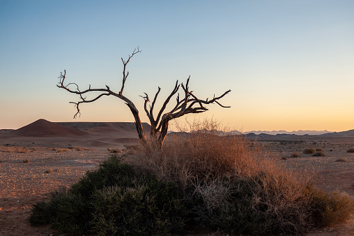 A very early morning in the Namibian Desert, near Cha-re, around sunrise