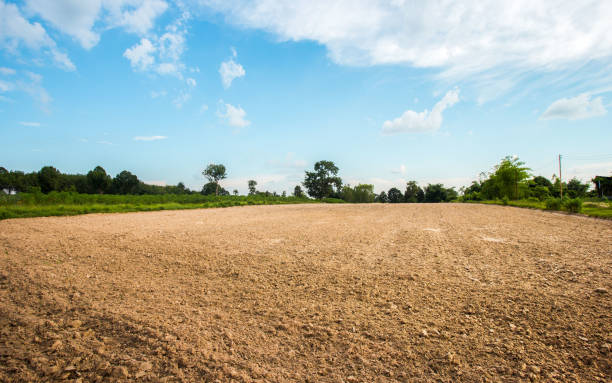 istock Empty dry cracked swamp reclamation soil, land plot for housing construction project with car tire print in rural area and beautiful blue sky. 1489623589