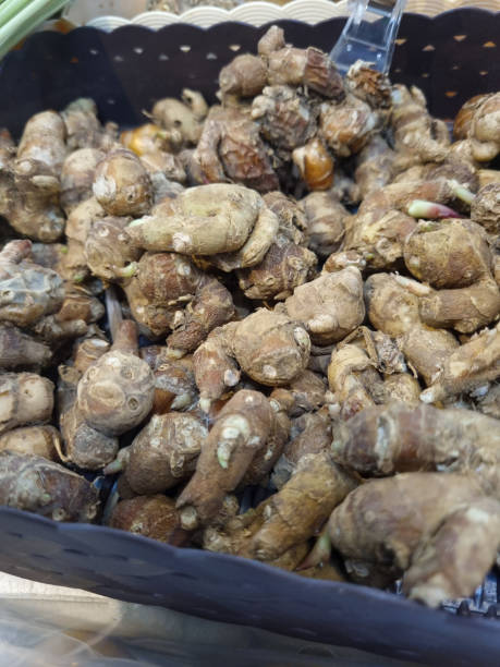 Kencur or cikur is a plant that has stem roots that are embedded in the ground, usually used for spices and medicinal ingredients; The parts of the kencur plant that are often used are the rhizomes, roots and leaves. kencur o cikur es una planta que tiene raíces de tallo que están incrustadas en el suelo, generalmente utilizadas para especias e ingredientes medicinales; las partes de la planta kencur que se utilizan a menudo son los rizomas, raíces y hojas.