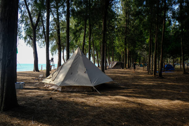 istock Camping tent in pine tree forest on isaland sea beach 1489628012