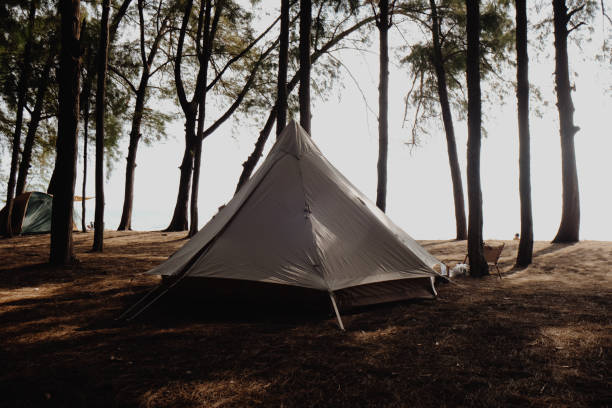 istock Camping tent in pine tree forest on isaland sea beach 1489628014