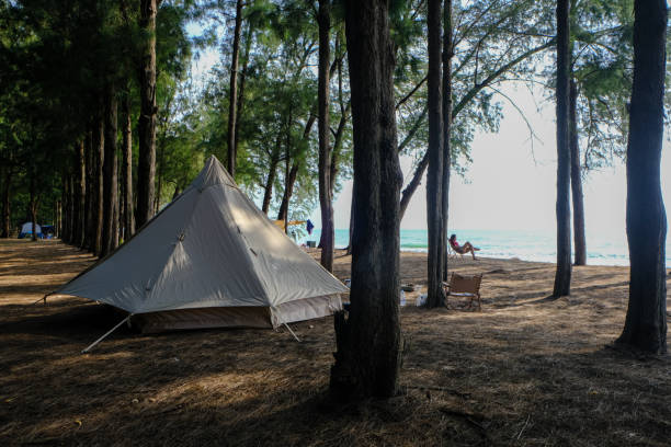 istock Camping tent in pine tree forest on isaland sea beach 1489628380