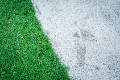 Top view of green grass texture with concrete floor background. Green lawn pattern and texture with cement sidewalk background. Close-up.