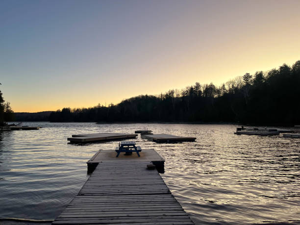 istock Forest lake and pier at night. 1489631584