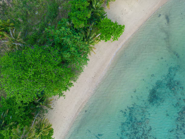 istock Aerial view tropical white sand beach wave green tree forest summer 1489631785