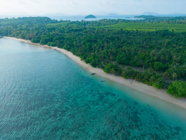 istock Aerial view tropical white sand beach wave green tree forest summer 1489631787