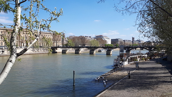 the Seine river and the Pont des Arts in Paris