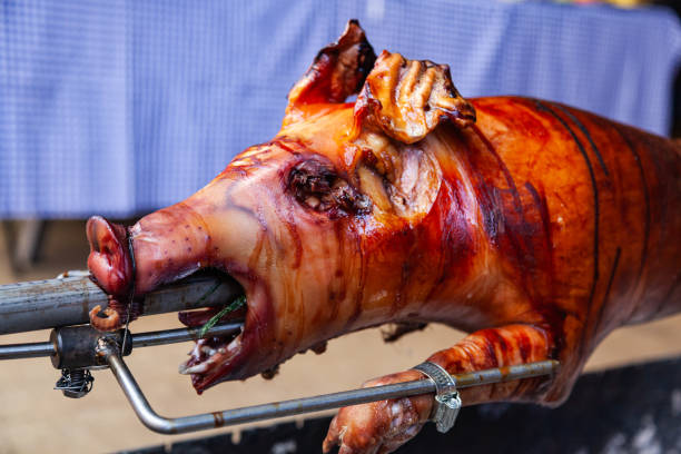 a young pig is roasted on a spit over coals. - roasted spit roasted roast pork barbecue grill imagens e fotografias de stock