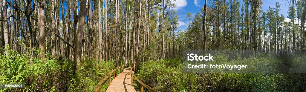 Boardwalk a Florida glade - Foto de stock de Parque Nacional de Everglades royalty-free