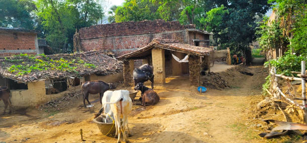 istock Country side of India 1489636953
