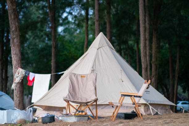 istock Camping family tent on pine tree forest beach front 1489641760