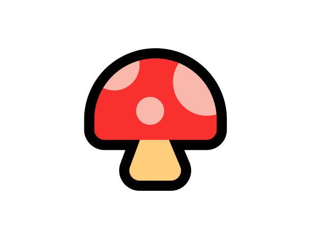 흰색 배경에 버섯 벡터 아이콘입니다. 빨간 점선 버섯 이모티콘 그림. 격리 된 버섯 벡터 이모티콘 - edible mushroom portabello mushroom white background vegetable stock illustrations