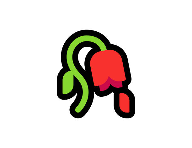 Wilted Rose vector icon on white background. Red Wilted Rose emoji illustration. Isolated Wilted flower vector emoticon Wilted Rose vector icon on a white background. Red Wilted Rose emoji illustration. Isolated Wilted flower vector emoticon clip art of a dead rose stock illustrations