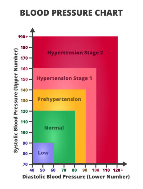 vektor-infografik des blutdruckdiagramms oder des blutdruckmanagementdiagramms. blutdruckwerte – niedrig, normal, prähypertonie, hypertonie stadium 1 und stadium 2. - blutdruckmesser stock-grafiken, -clipart, -cartoons und -symbole