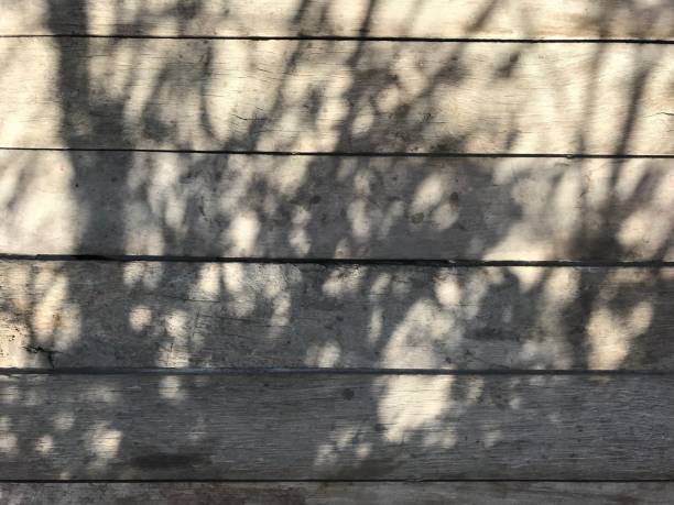 istock Shadow of tree on the wooden background 1489653634