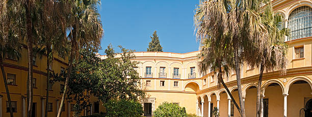 istock Seville palm fringed patio 148965424