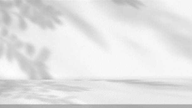 Studio background,Leaves shadow with sunbeam reflection on grey concrete wall background,Empty White Studio Room with abstract light on Cement floor,Backdrop display for product presentation