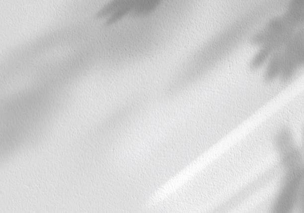 istock Leaves shadow with sunbeam reflection on grey concrete wall background,Studio background with abstract light,shade on Cement floor,Empty Backdrop display for product presentation 1489660152